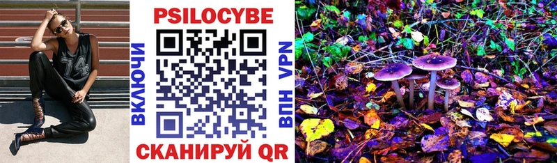 hydra как зайти Любим Галлюциногенные грибы Magic Shrooms
